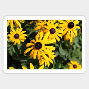 Yellow Flowers Photo Sticker